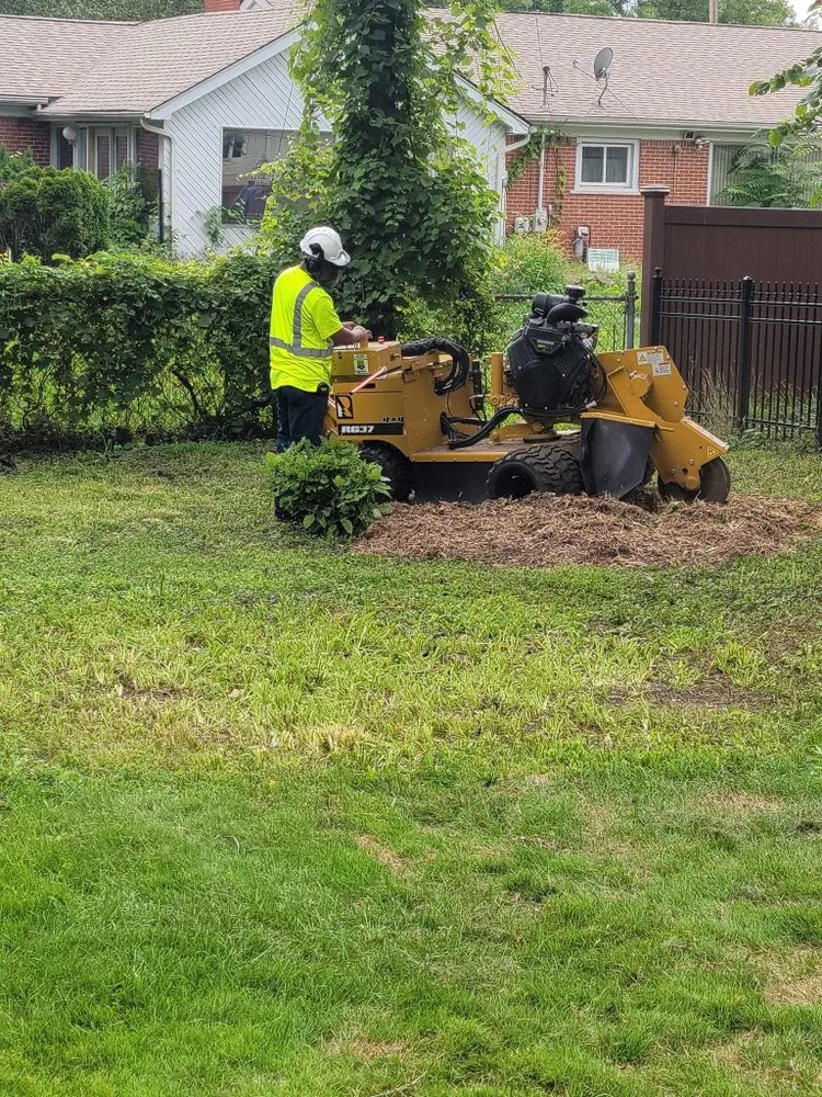 Top-rated landscaping services for residential properties in Auburn Hills, MI by BG Stump Grinder