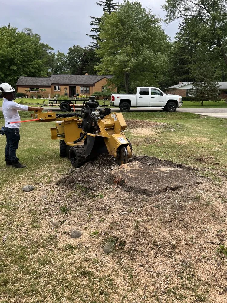 Reliable landscaping services for outdoor upgrades across Auburn Hills, MI - BG Stump Grinder