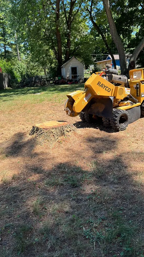 Reliable lawn care service in Auburn Hills, MI by BG Stump Grinder