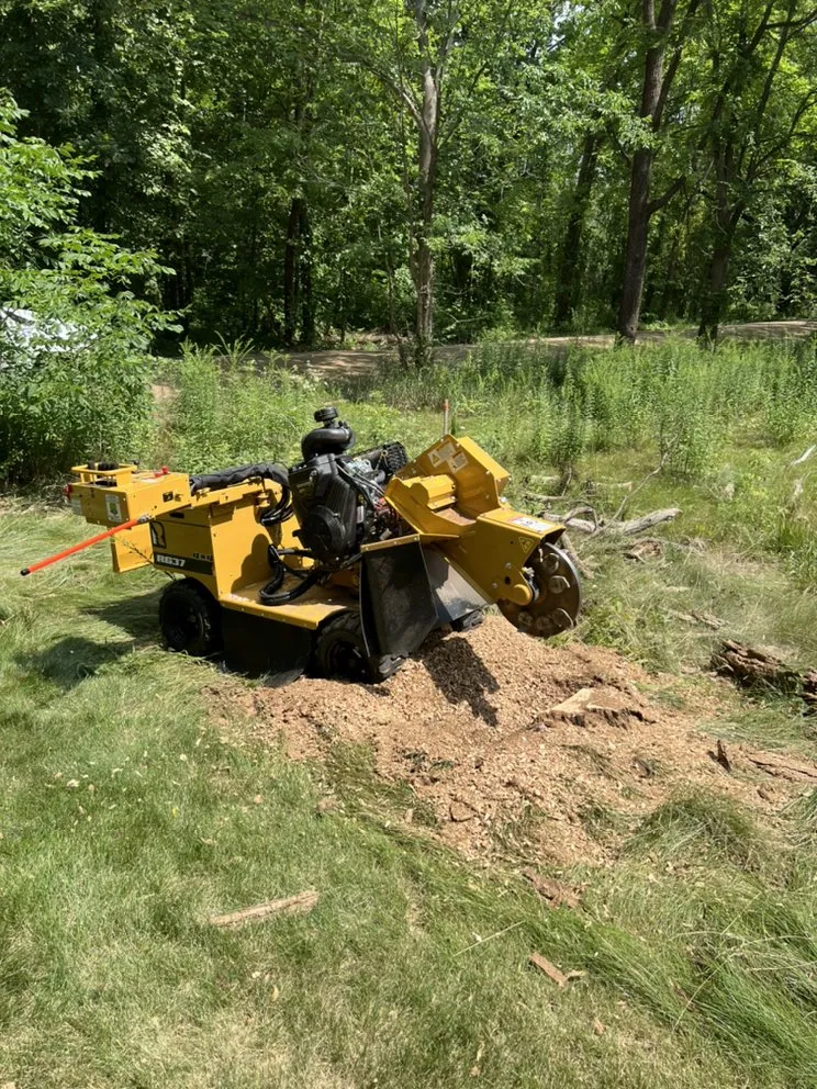 Affordable landscape design for residential properties in Auburn Hills, MI by BG Stump Grinder