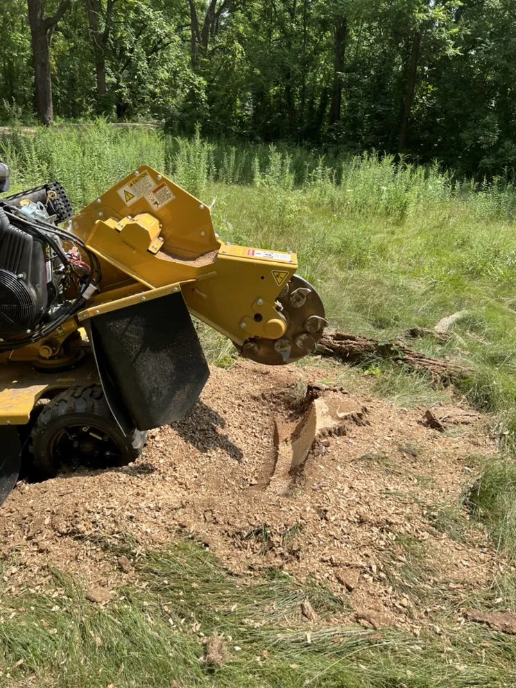 Affordable yard maintenance in Auburn Hills, MI by BG Stump Grinder