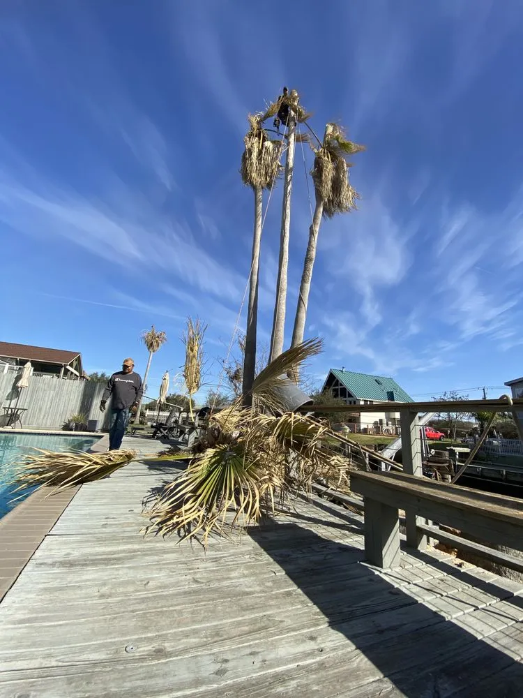 Custom garden landscaping experts serving Seabrook, TX - B&G Stump Grinding