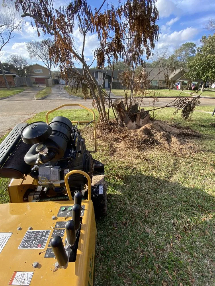 Top-rated residential landscaping with custom design across Seabrook, TX - B&G Stump Grinding
