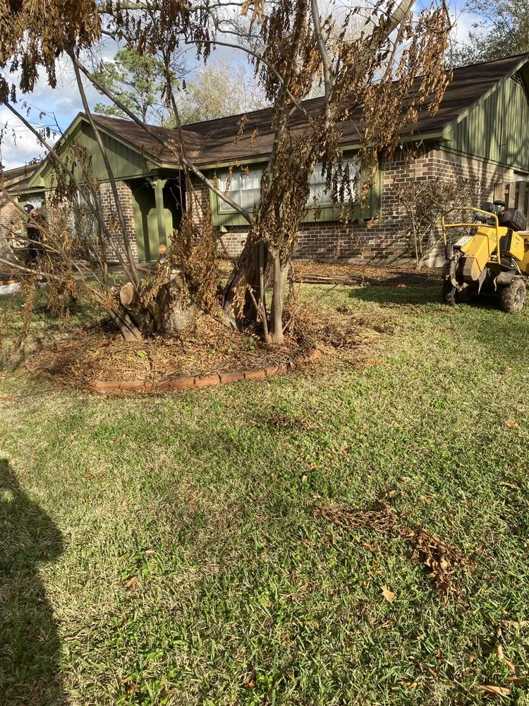 Local garden landscaping in Seabrook, TX - B&G Stump Grinding