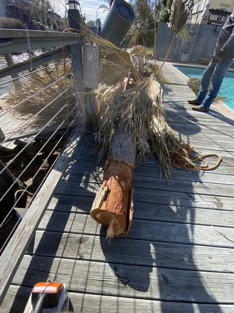 Expert landscape installation experts serving Seabrook, TX - B&G Stump Grinding