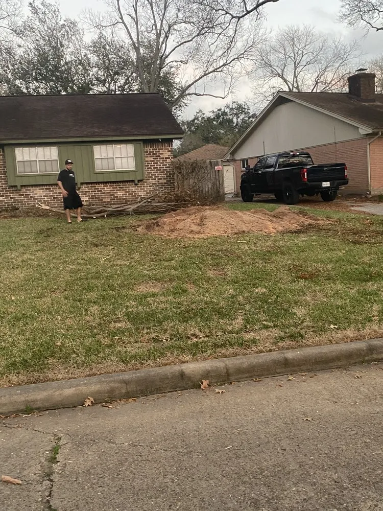 Local lawn care service experts serving Seabrook, TX - B&G Stump Grinding