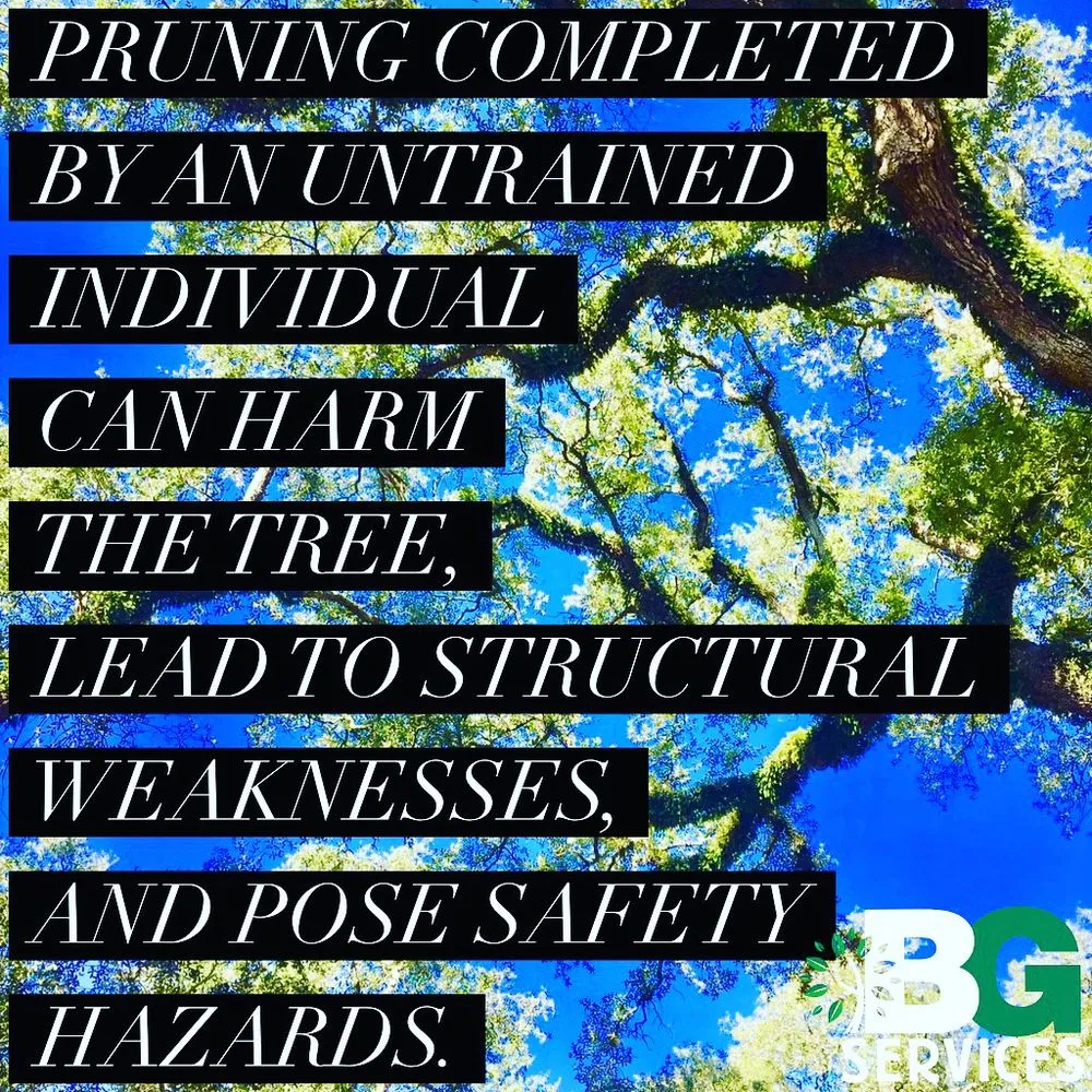 Trusted landscaping services in Spring City, PA by BG Tree Care