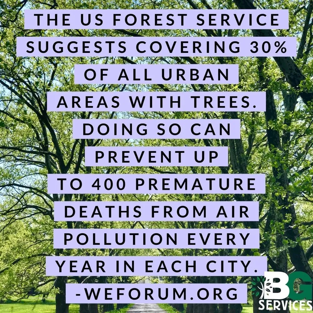 Top-rated lawn care service in Spring City, PA by BG Tree Care