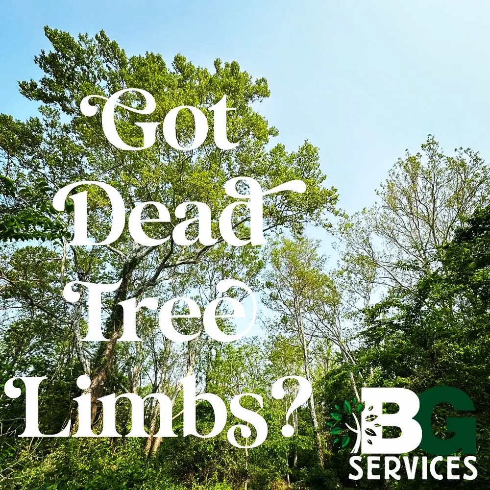 Reliable lawn care service in Spring City, PA by BG Tree Care
