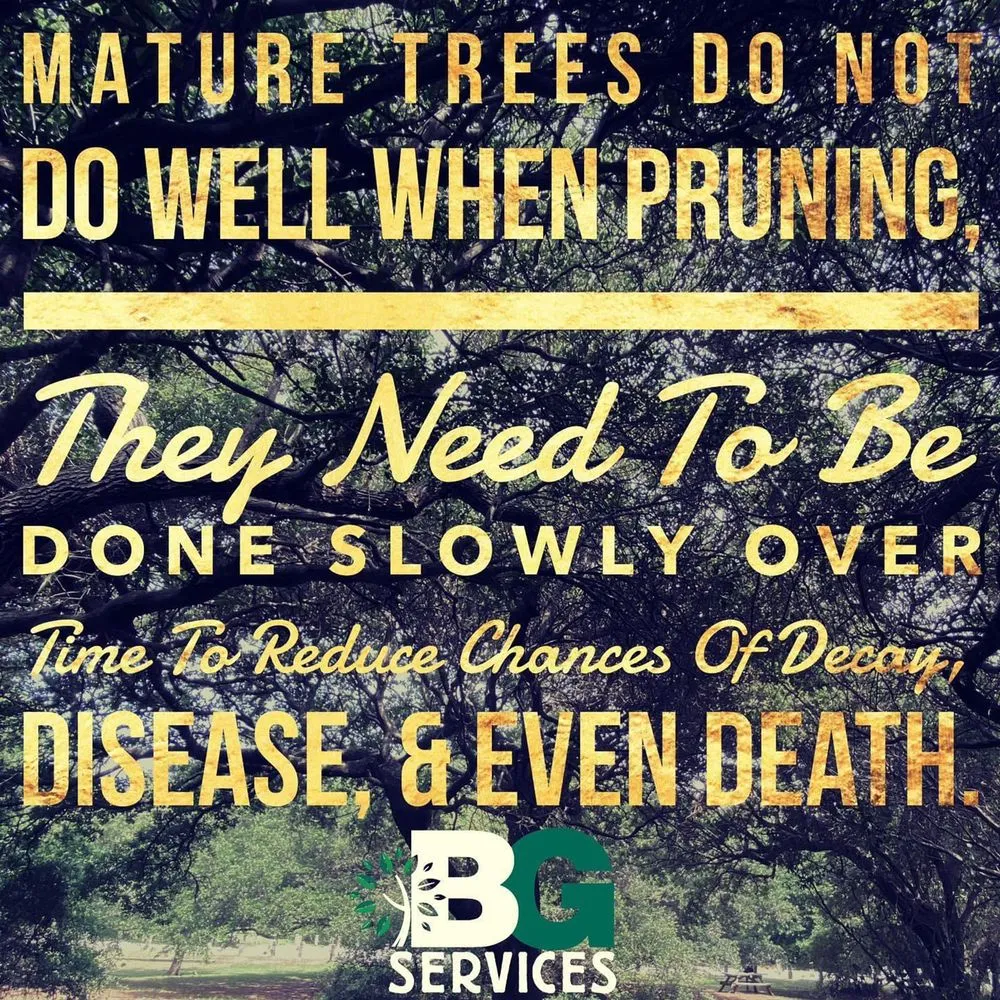 Expert landscape design in Spring City, PA by BG Tree Care