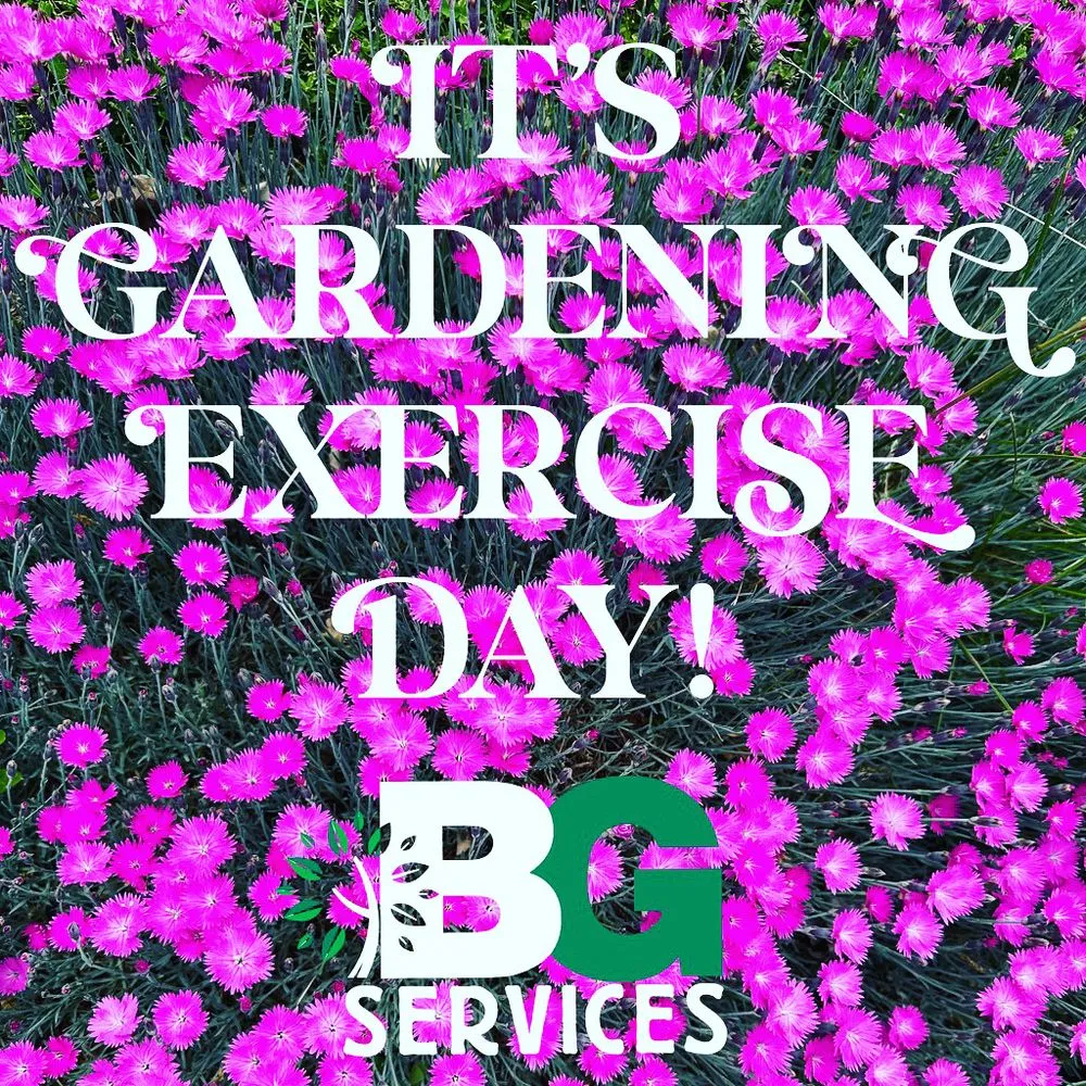 Top-rated yard maintenance for year-round maintenance across Spring City, PA - BG Tree Care