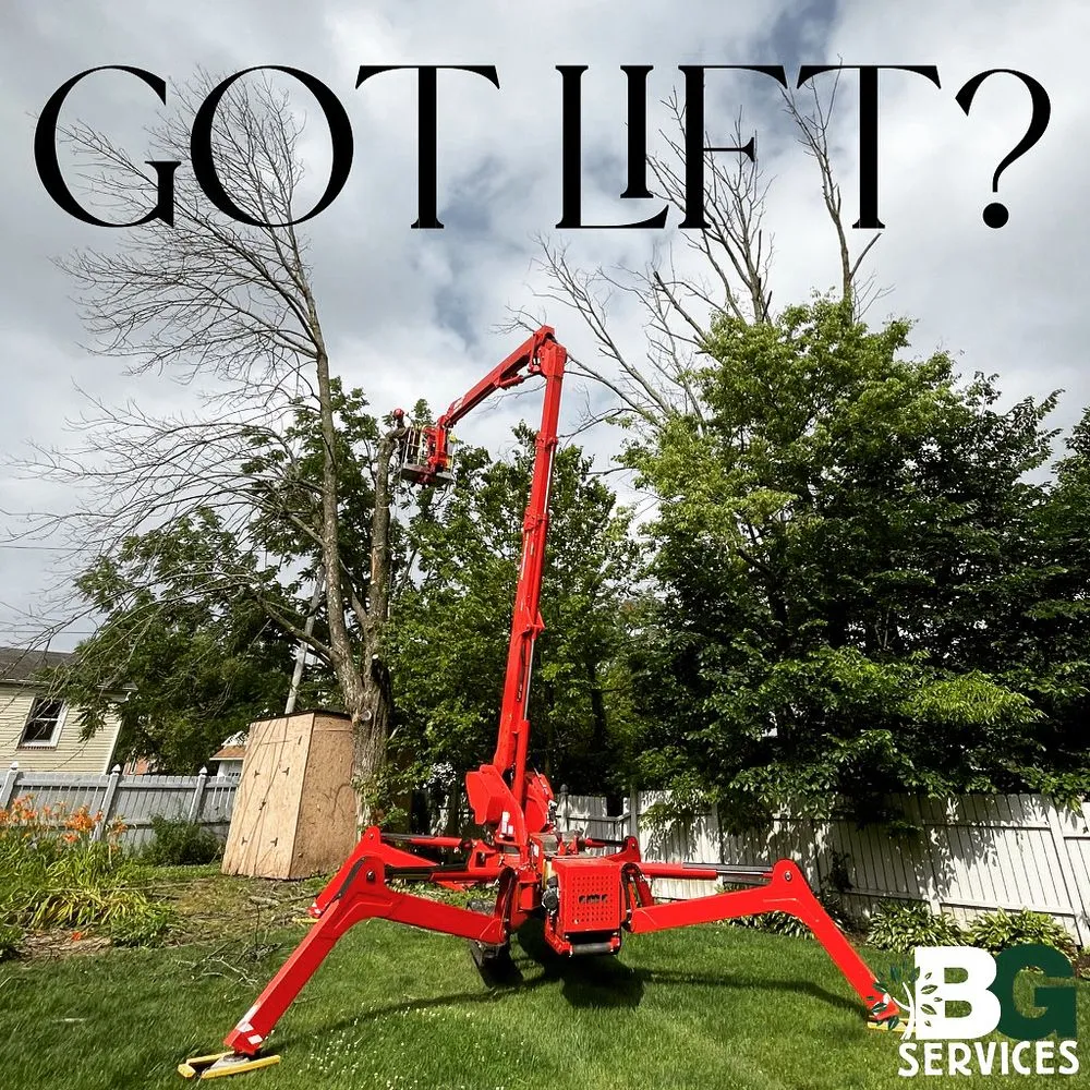 Custom landscape design in Spring City, PA by BG Tree Care