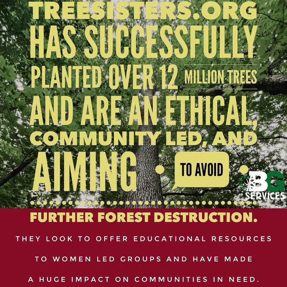 Expert residential landscaping in Spring City, PA - BG Tree Care