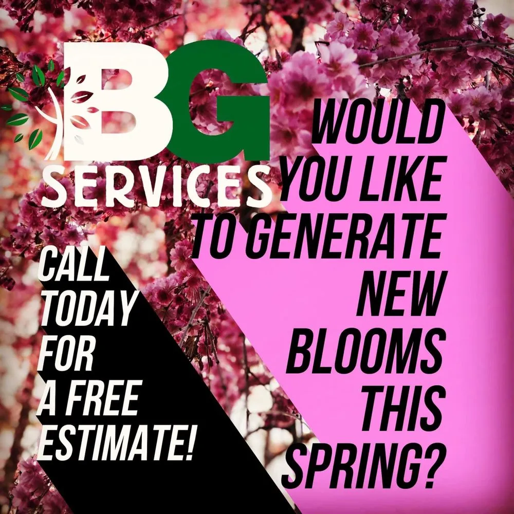 Local landscaping services experts serving Spring City, PA - BG Tree Care