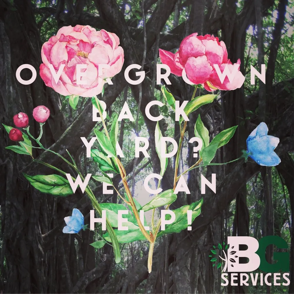 Top-rated residential landscaping for outdoor upgrades in Spring City, PA by BG Tree Care