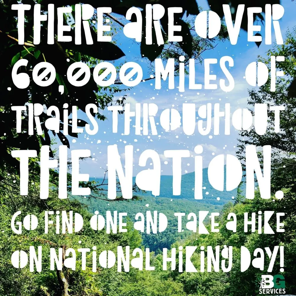 Trusted yard maintenance near you across Spring City, PA - BG Tree Care