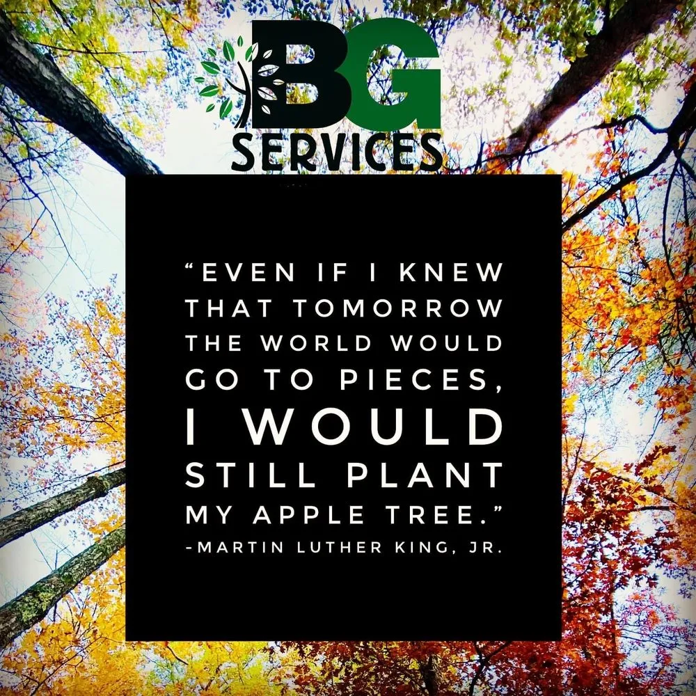 Trusted lawn care service experts serving Spring City, PA - BG Tree Care