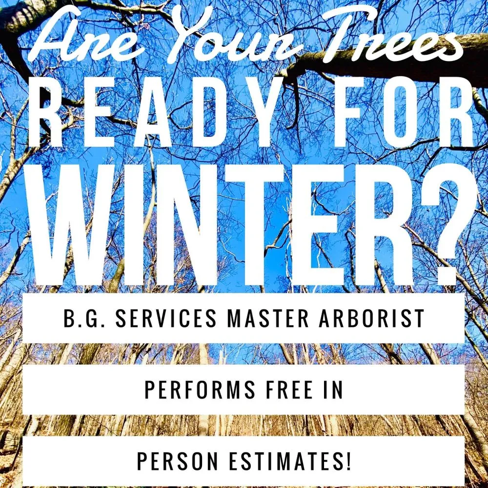 Local garden landscaping in Spring City, PA - BG Tree Care