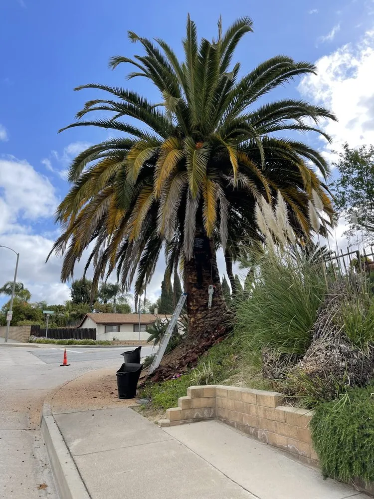 Custom garden landscaping in Santa Ana, CA - BG Tree Service and Landscape