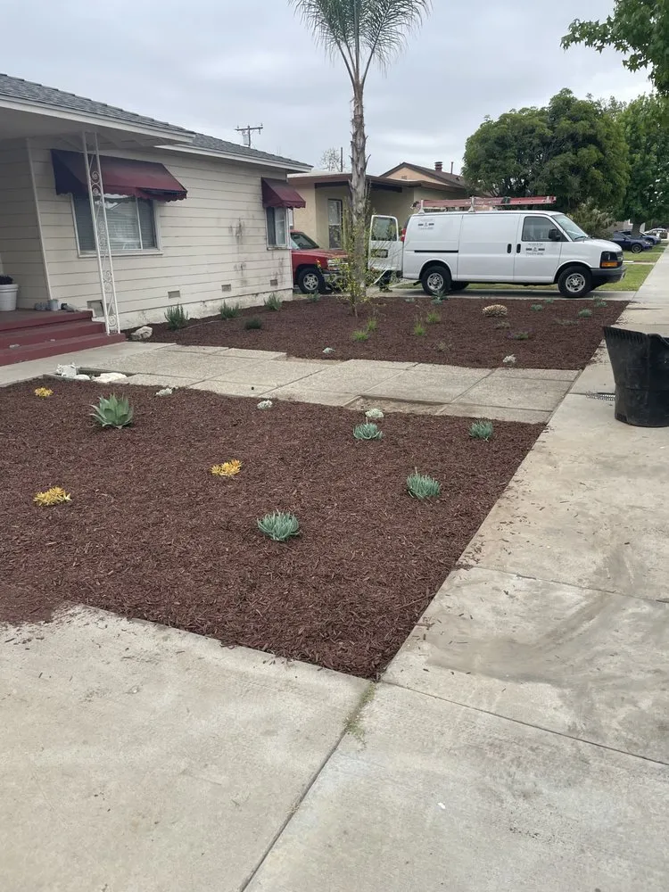 Trusted yard cleanup service for beautiful yards in Santa Ana, CA by BG Tree Service and Landscape