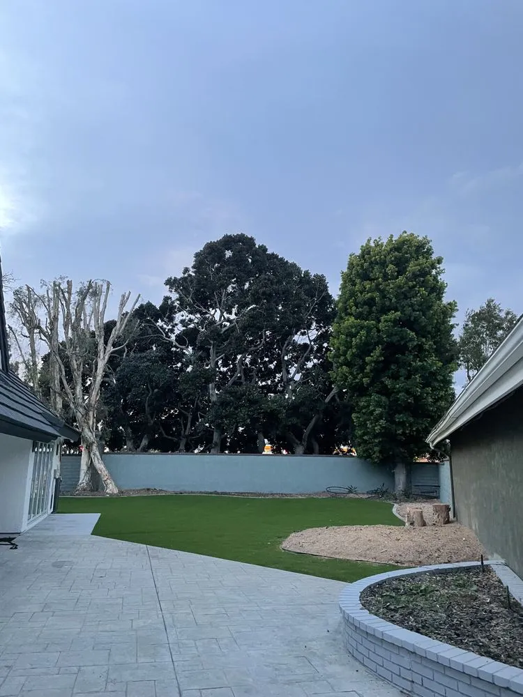 Reliable yard cleanup service for outdoor upgrades across Santa Ana, CA - BG Tree Service and Landscape