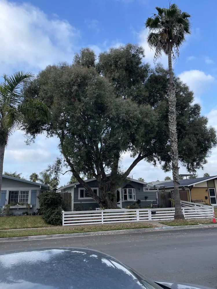 Top-rated lawn mowing service in Santa Ana, CA by BG Tree Service and Landscape