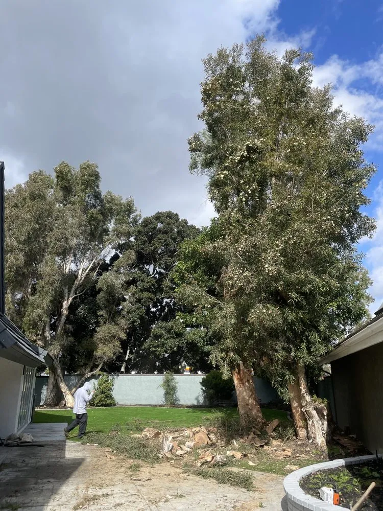 Custom landscape installation for residential properties across Santa Ana, CA - BG Tree Service and Landscape