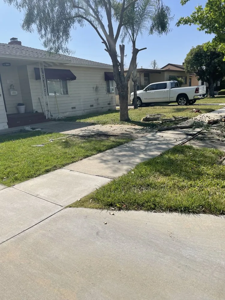 Trusted garden landscaping experts serving Santa Ana, CA - BG Tree Service and Landscape