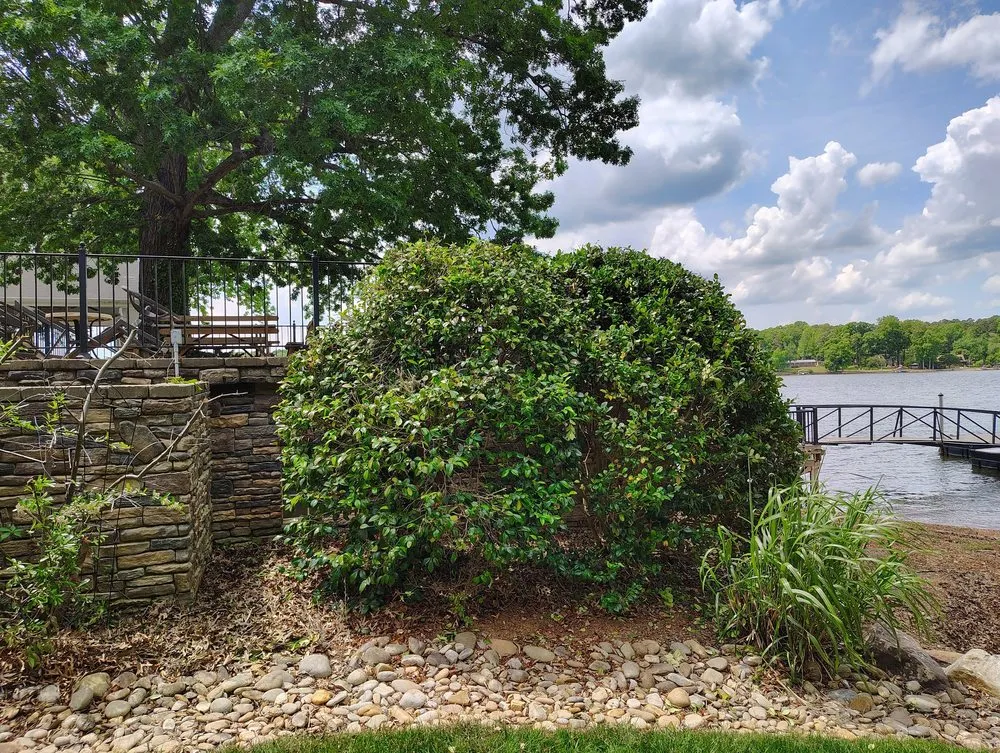 Affordable garden landscaping in Asheboro, NC - B&G Tree Services and Pressure Washing