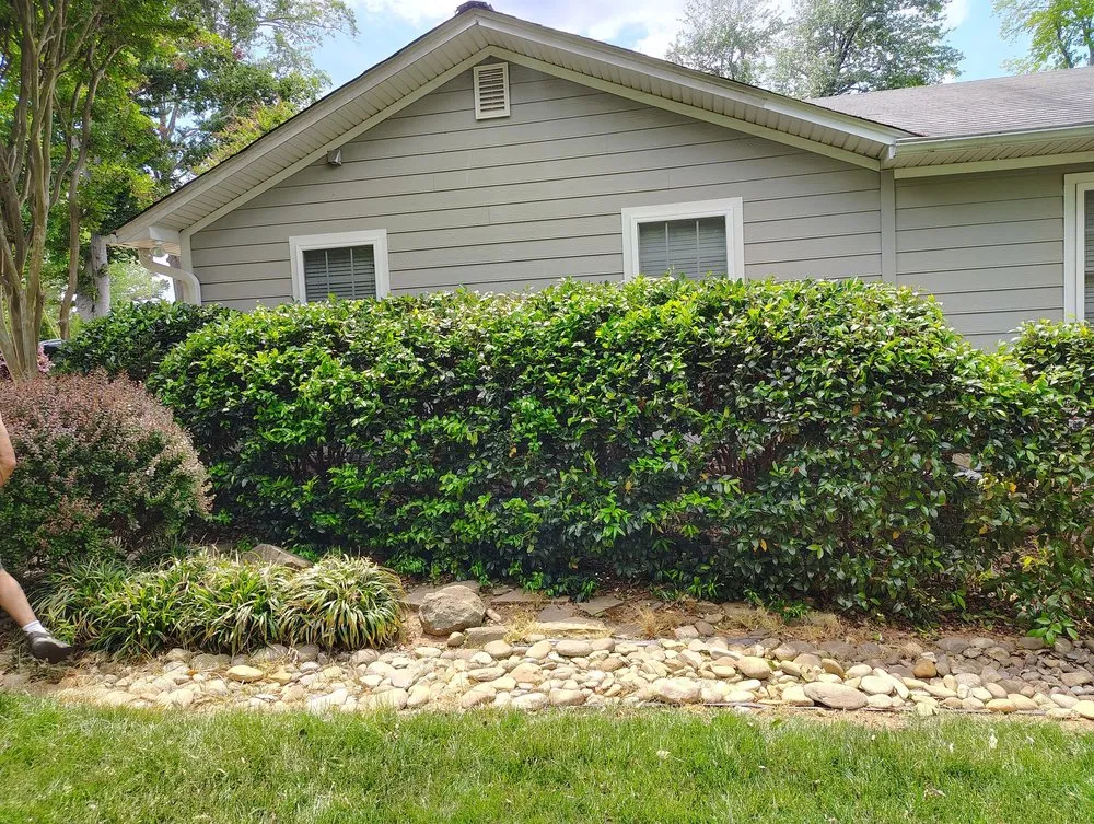 Reliable residential landscaping in Asheboro, NC by B&G Tree Services and Pressure Washing