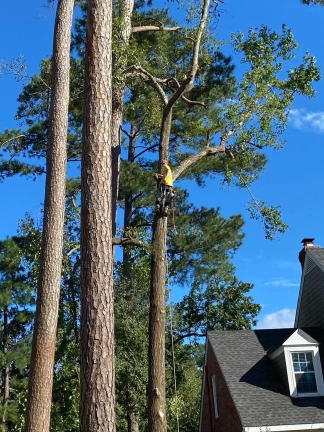 Professional lawn mowing service for homes in Asheboro, NC by B&G Tree Services and Pressure Washing