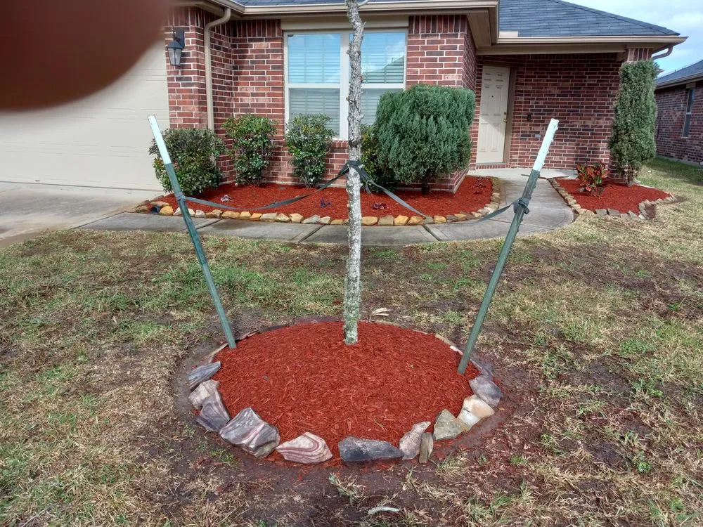 Reliable yard cleanup service experts serving Fresno, TX - Bgales Pressure Washing & Lawn Service