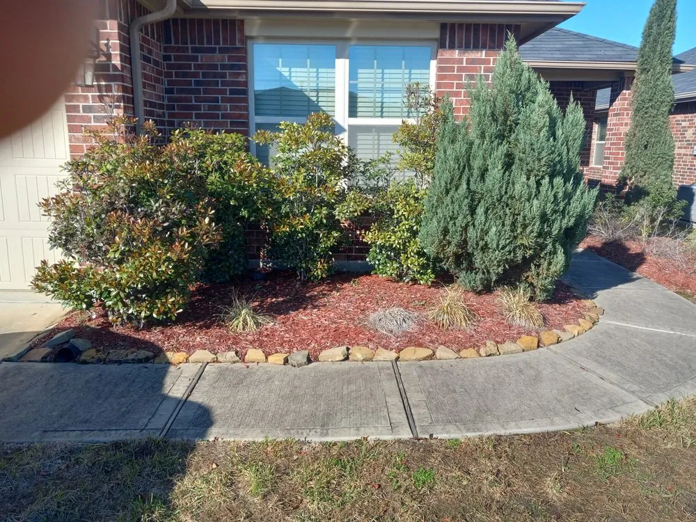 Top-rated yard cleanup service in Fresno, TX - Bgales Pressure Washing & Lawn Service