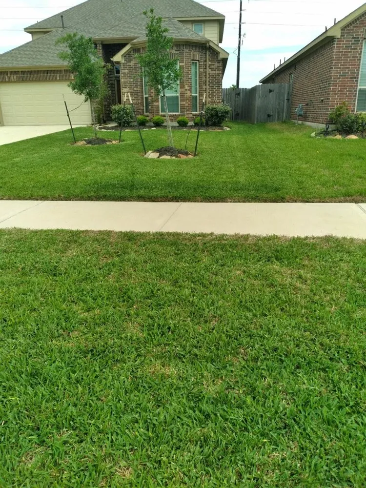 Top-rated yard maintenance for residential properties across Fresno, TX - Bgales Pressure Washing & Lawn Service