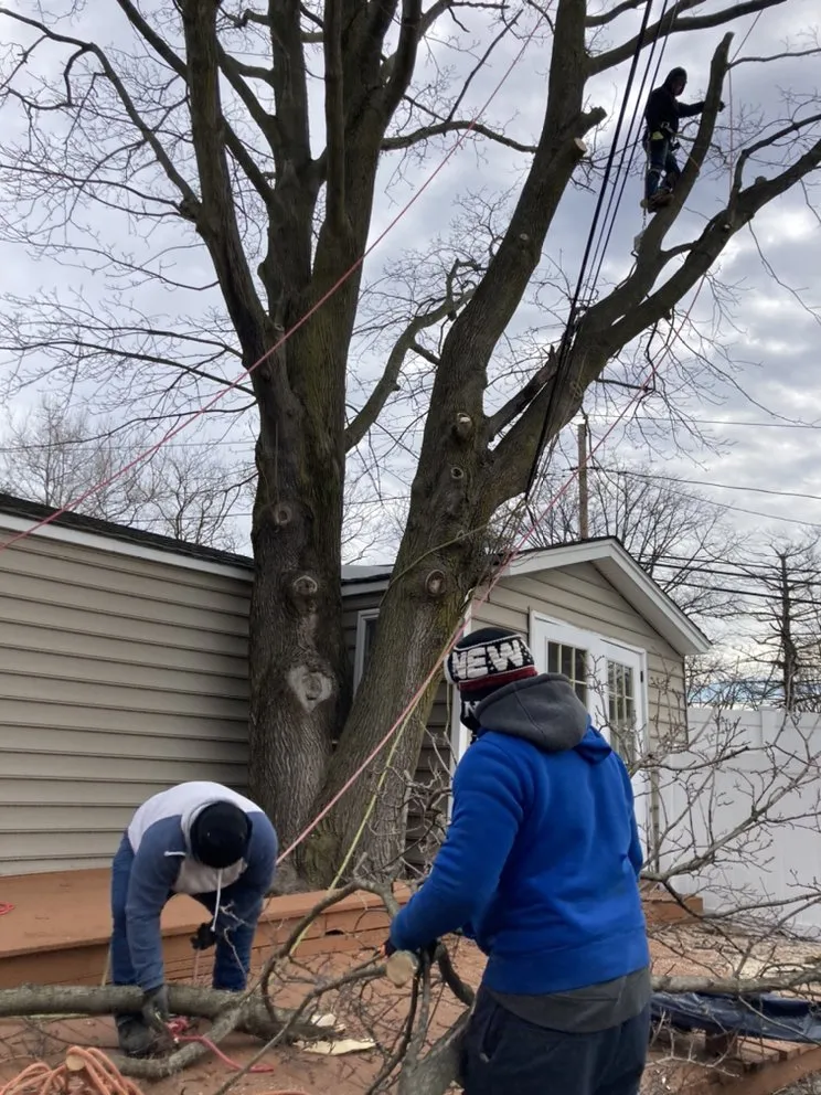 Reliable garden landscaping experts serving Central Islip, NY - BGE Landscaping & Trees