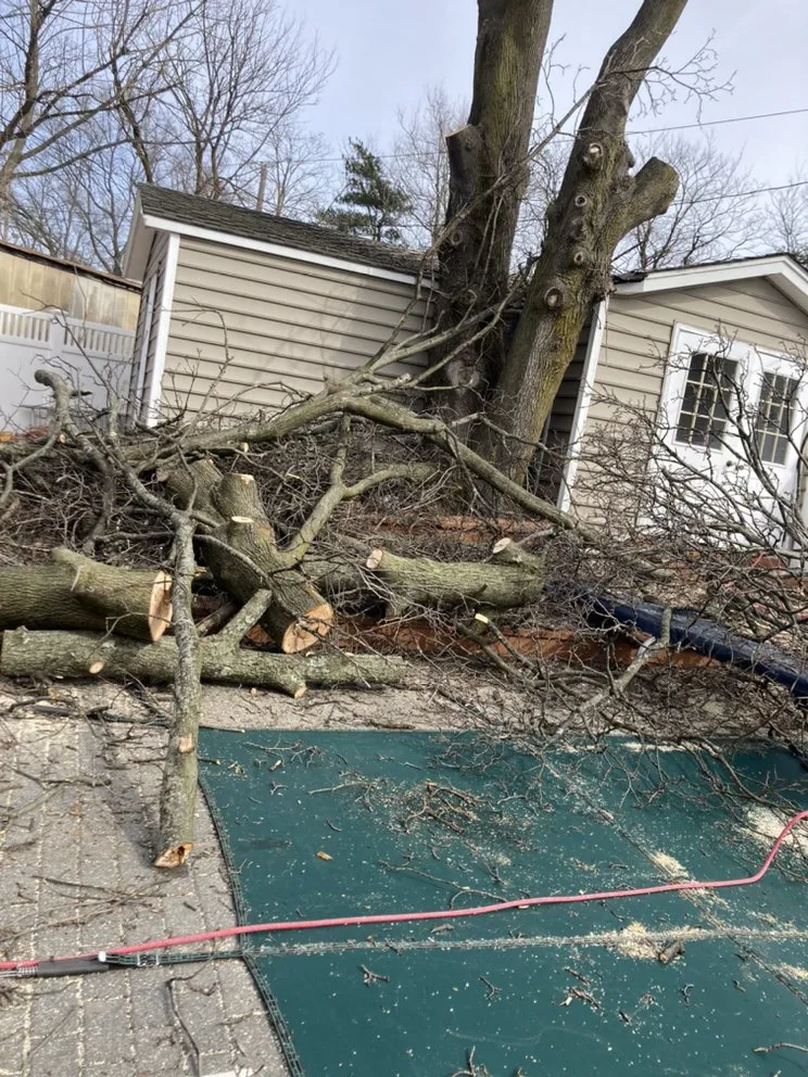 Professional yard maintenance for homes in Central Islip, NY by BGE Landscaping & Trees