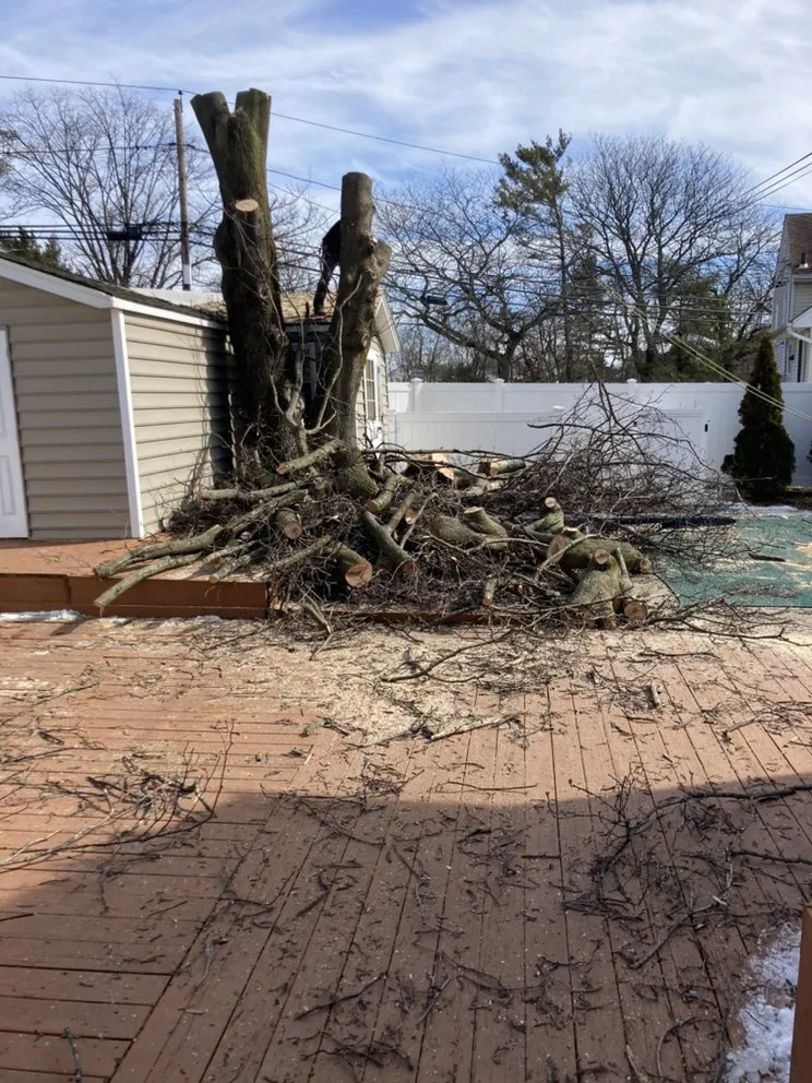 Professional yard cleanup service in Central Islip, NY - BGE Landscaping & Trees