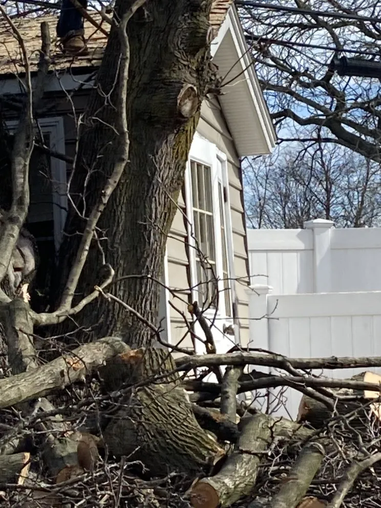 Reliable garden landscaping experts serving Central Islip, NY - BGE Landscaping & Trees