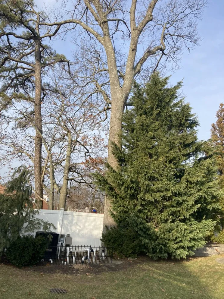 Expert lawn care service experts serving Central Islip, NY - BGE Landscaping & Trees