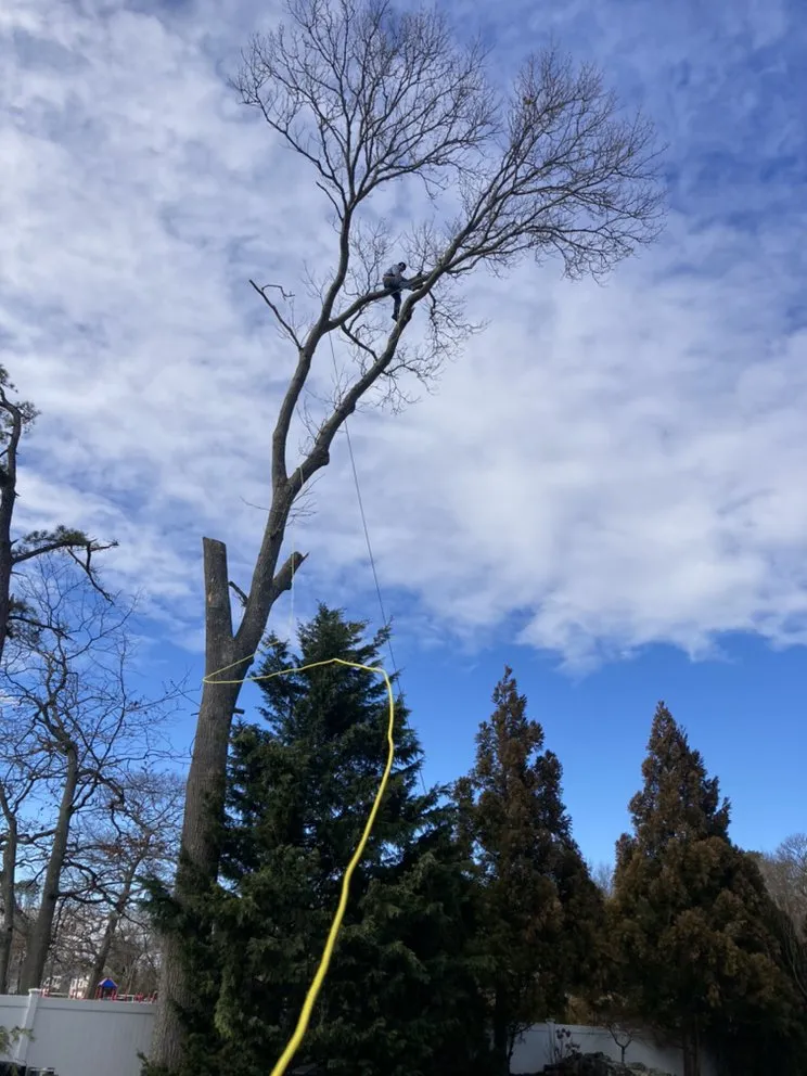 Custom lawn mowing service with custom design across Central Islip, NY - BGE Landscaping & Trees