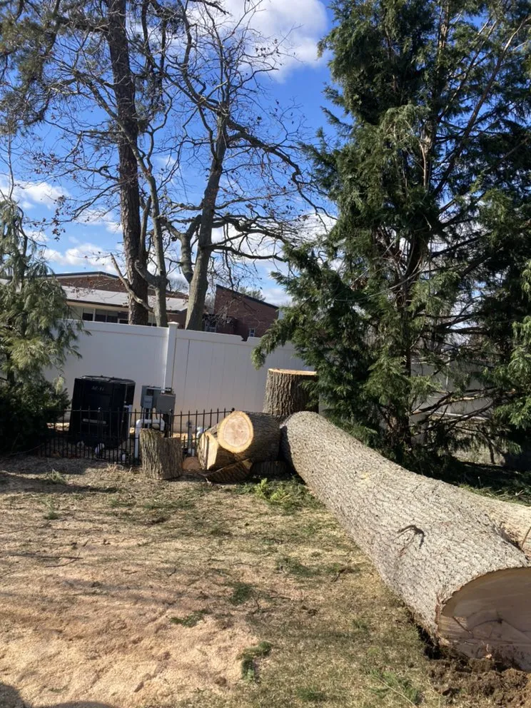 Local landscaping services experts serving Central Islip, NY - BGE Landscaping & Trees