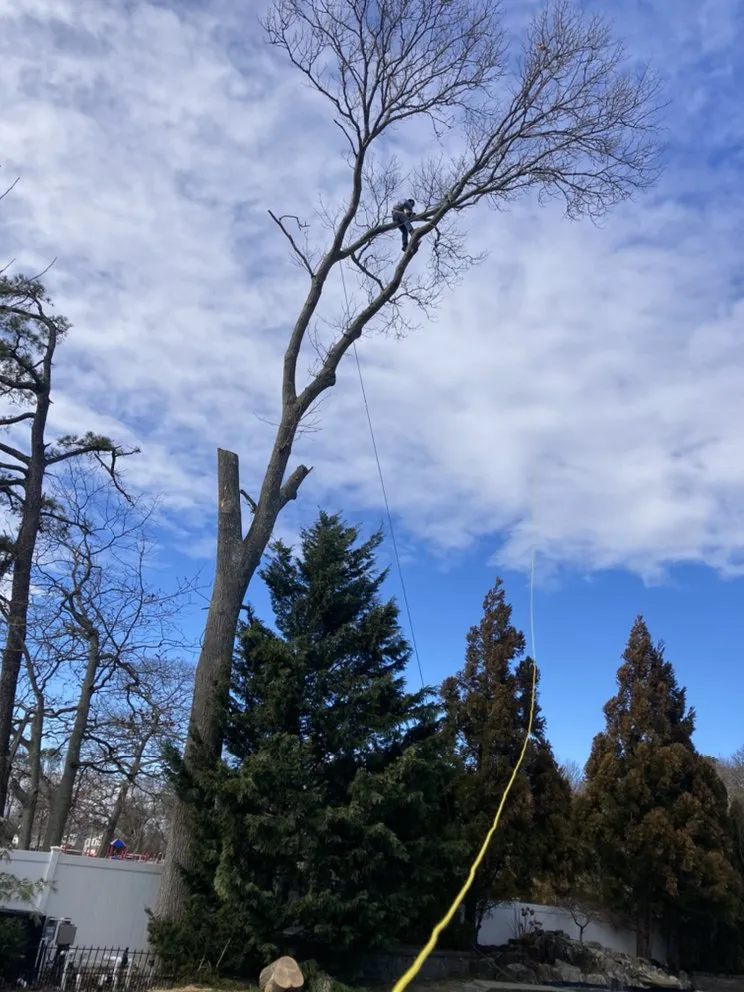 Trusted yard cleanup service for beautiful yards in Central Islip, NY by BGE Landscaping & Trees