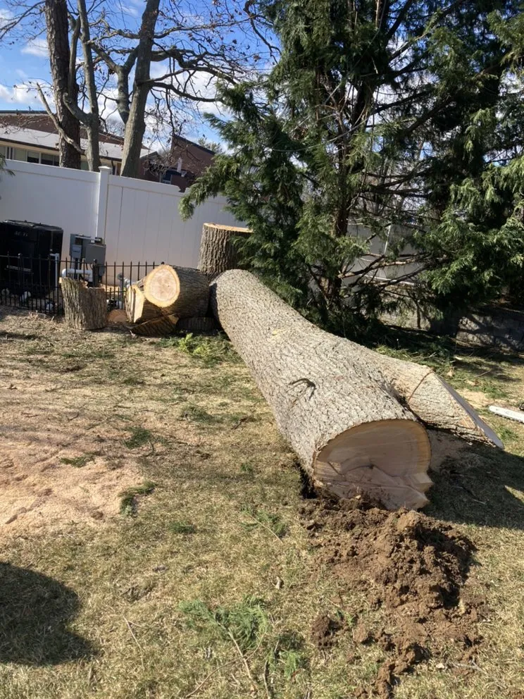 Custom landscaping services experts serving Central Islip, NY - BGE Landscaping & Trees