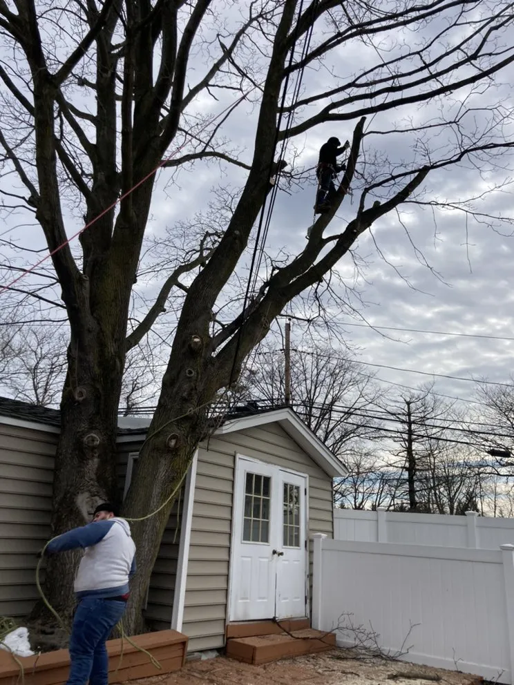 Custom lawn mowing service in Central Islip, NY by BGE Landscaping & Trees