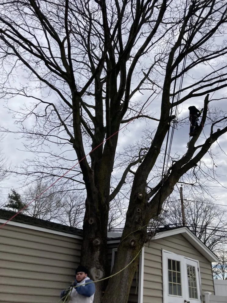 Custom landscaping services experts serving Central Islip, NY - BGE Landscaping & Trees