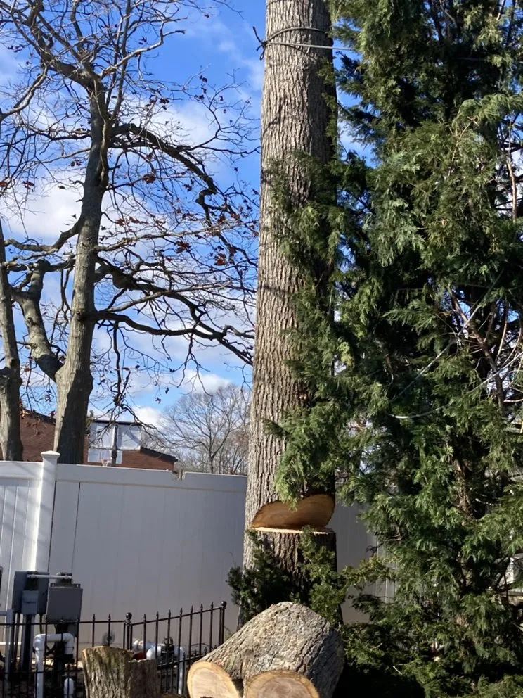 Trusted lawn care service experts serving Central Islip, NY - BGE Landscaping & Trees