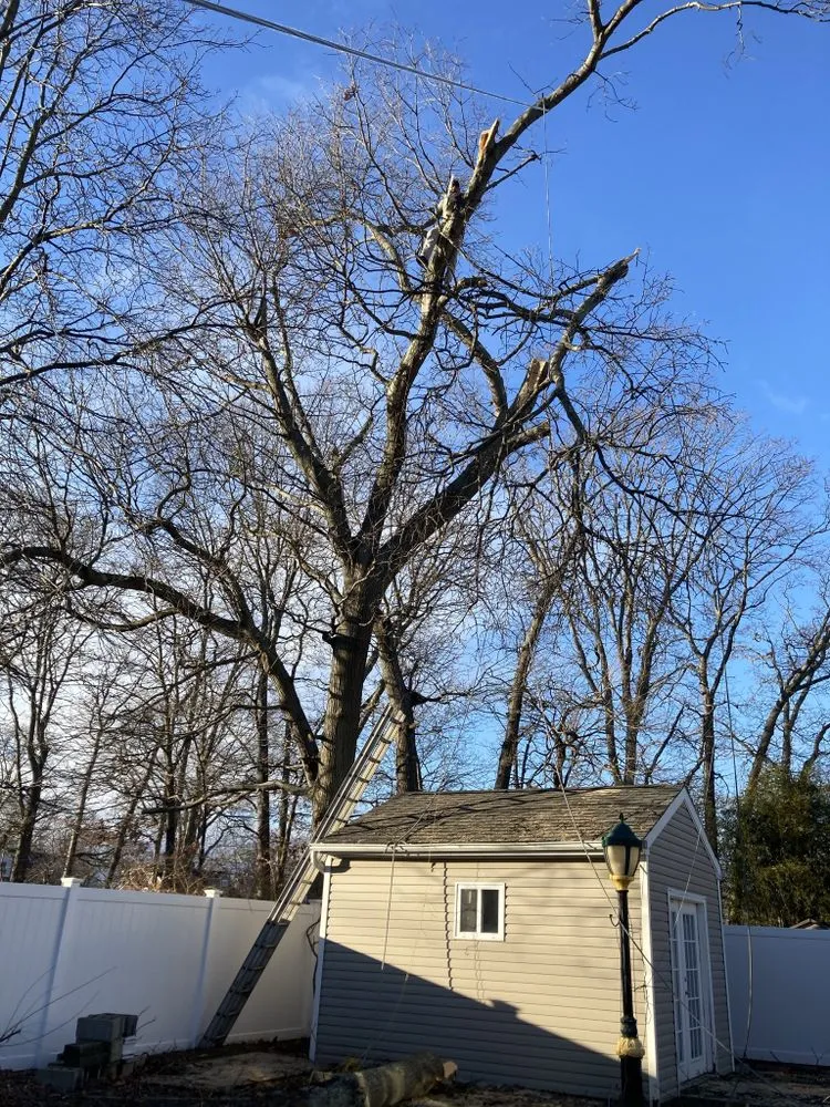 Local landscaping services in Central Islip, NY - BGE Landscaping & Trees