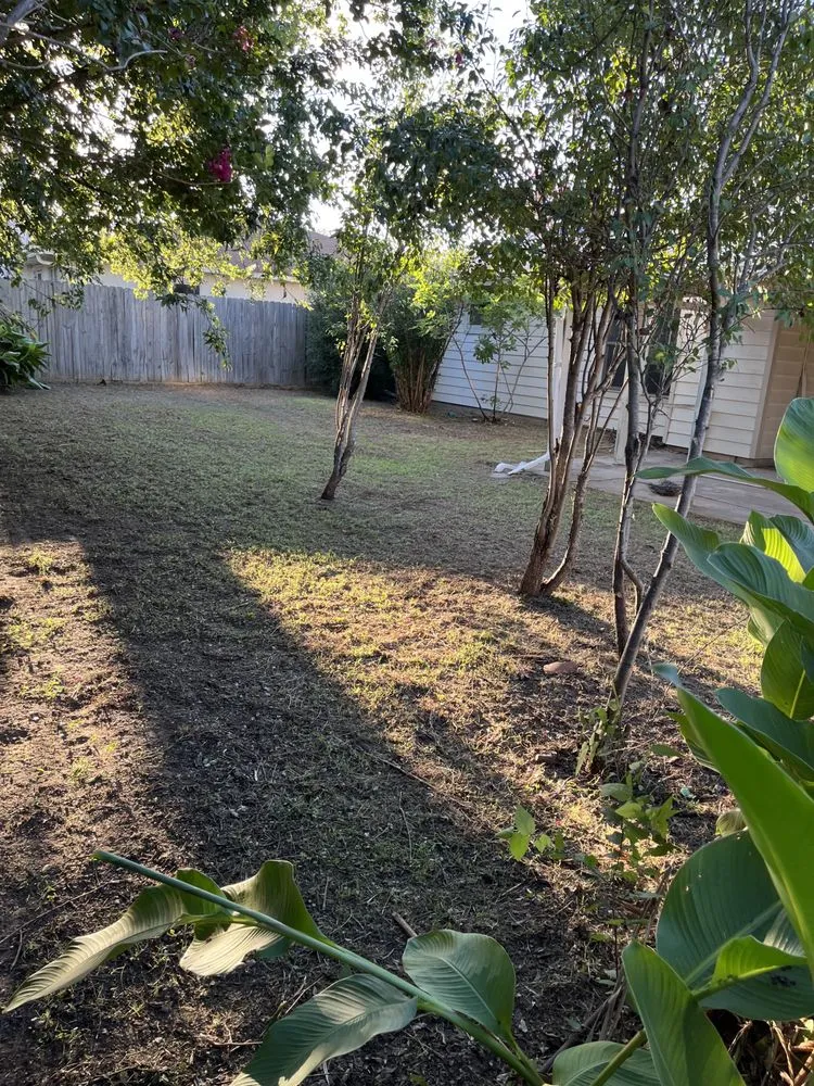 Affordable yard maintenance in Austin, TX by BGE services