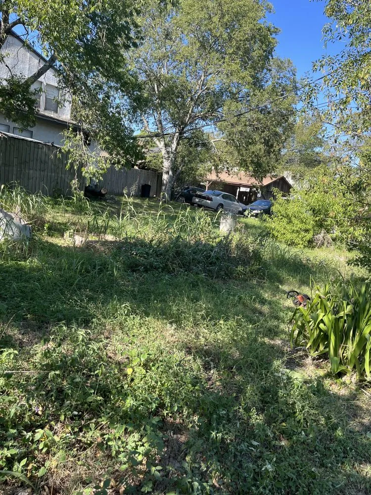 Expert landscape design for beautiful yards across Austin, TX - BGE services