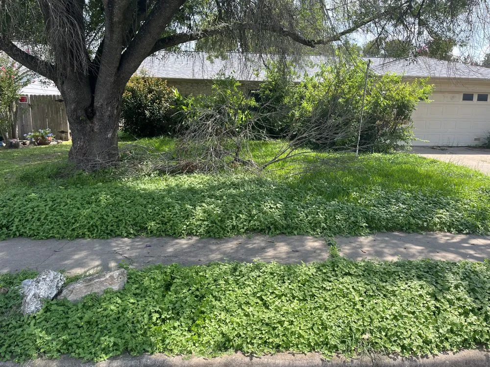 Top-rated garden landscaping near you across Austin, TX - BGE services